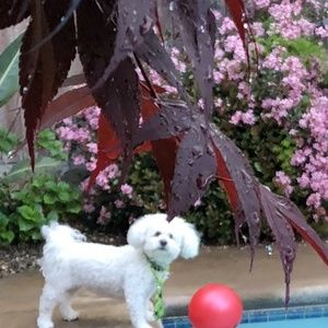 Meet your Posher, Beverly